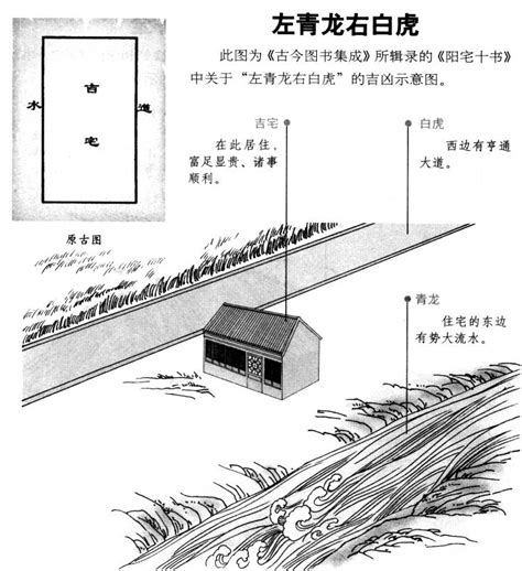 大门左青龙|【蒋佳明】阳宅的青龙白虎位